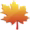 southmaple